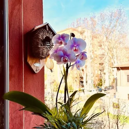 Gloriosos House Apartment