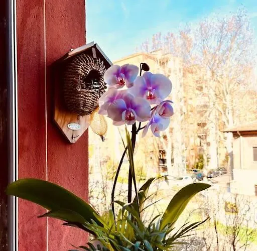 Gloriosos House 아파트